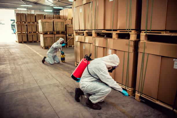 Best Cockroach Control Services  in Hailey, ID