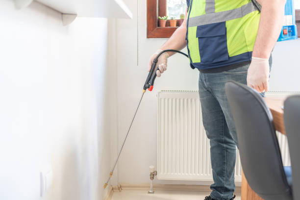 Best Affordable Pest Control Services  in Hailey, ID