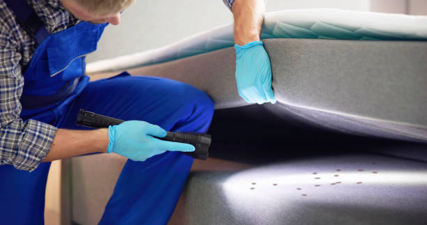 Best Rat Extermination Near Me  in Hailey, ID