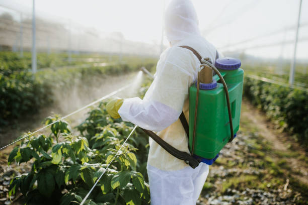 Professional Pest Control in Hailey, ID